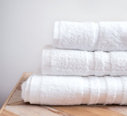 Bluebird 500 GSM Towels